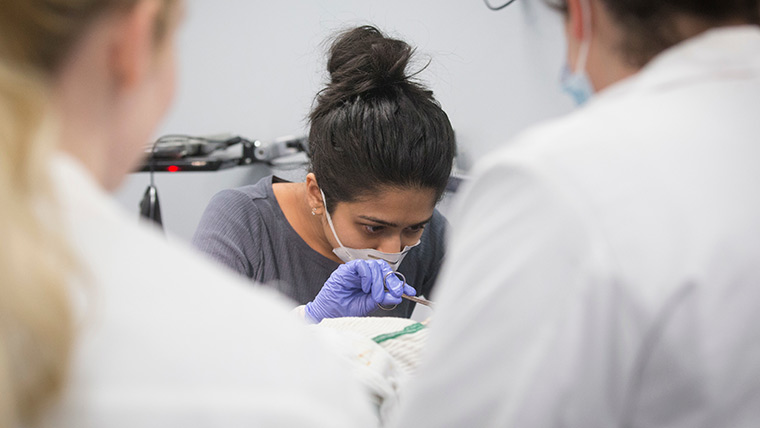 Physician assistant student practicing surgery techniques in lab.